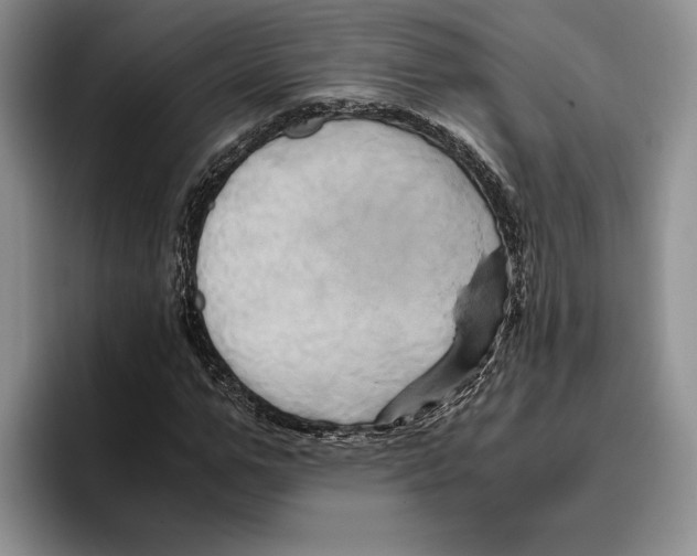 X0000096220967200802151519