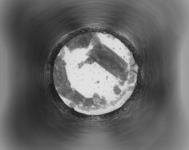 X0000096220968200802151519