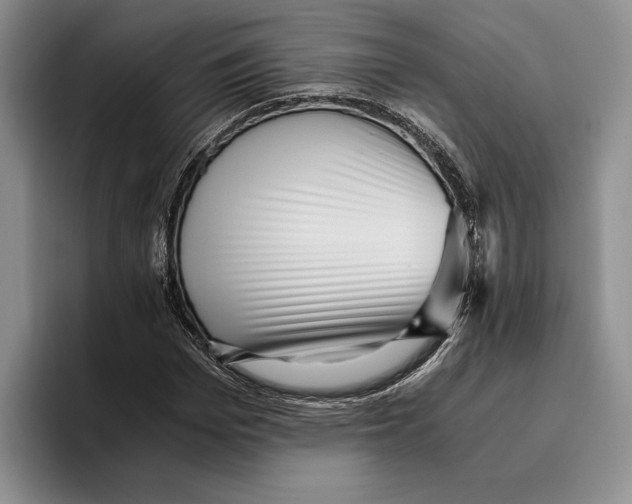 X0000096220969200802151519