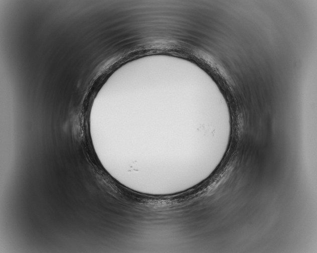 X0000096220970200802151519