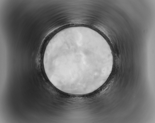 X0000096220971200802151519