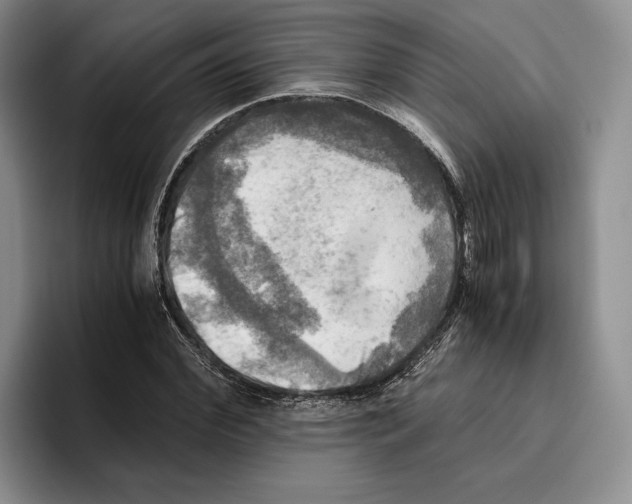 X0000096220972200802151519