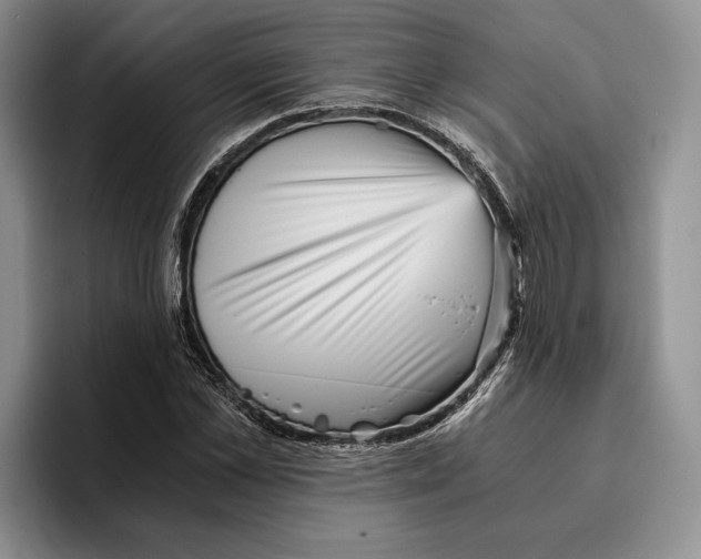 X0000096220973200802151519