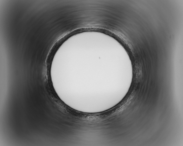 X0000096220974200802151519