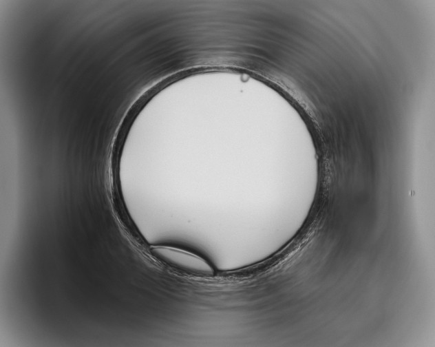 X0000096220980200802151519