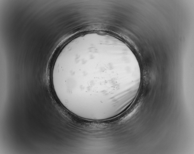 X0000096220981200802151518