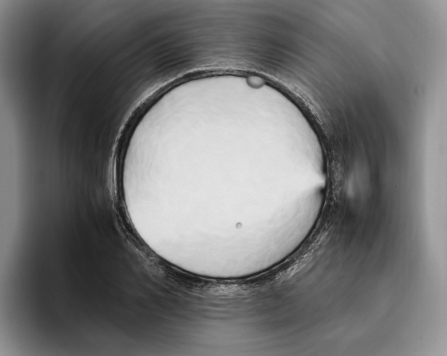 X0000096220982200802151518