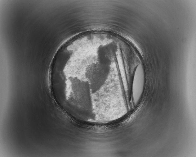 X0000096220983200802151518