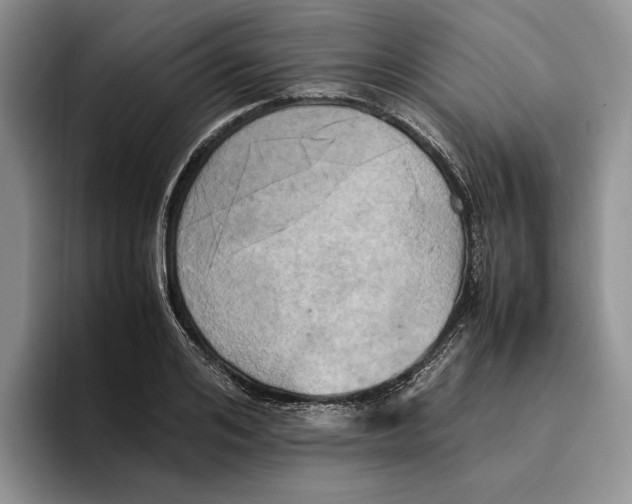 X0000096220984200802151518