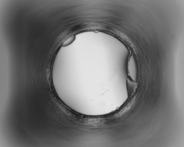 X0000096220985200802151518