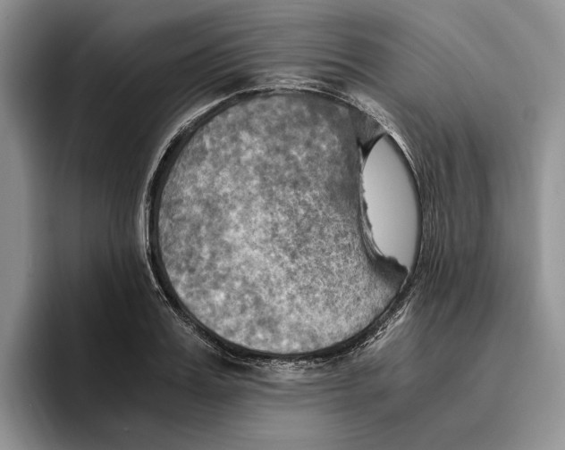 X0000096220987200802151518