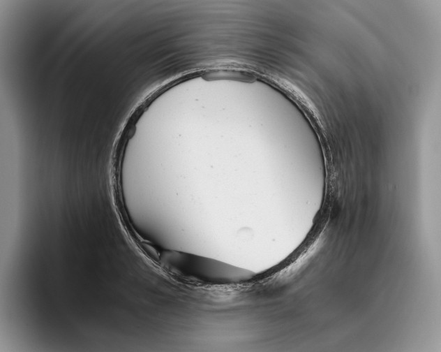 X0000096220989200802151518