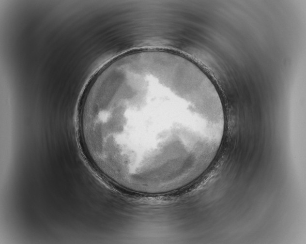 X0000096220990200802151518