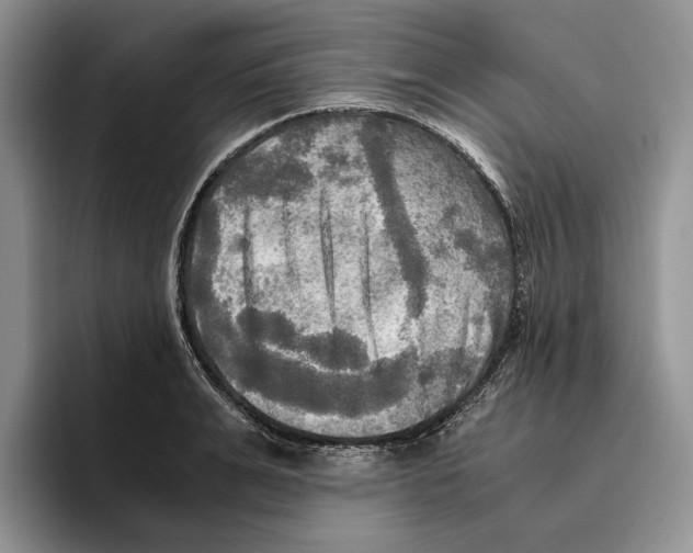 X0000096220991200802151518