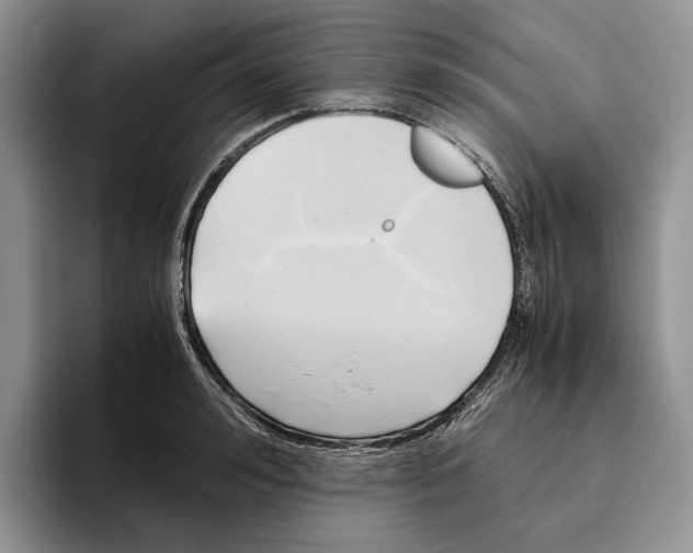 X0000096220992200802151518