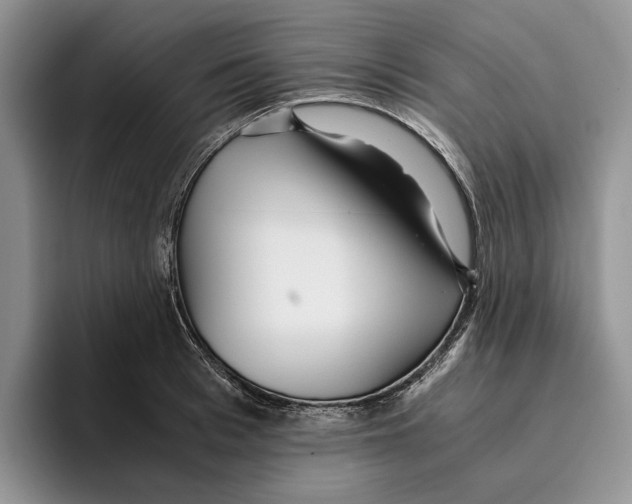 X0000096220993200802151518