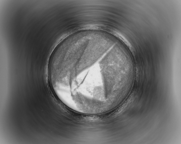 X0000096220994200802151518