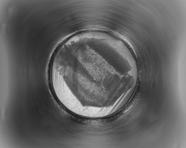 X0000096220995200802151518