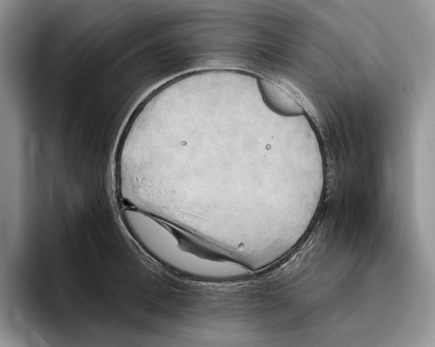 X0000096220996200802151518