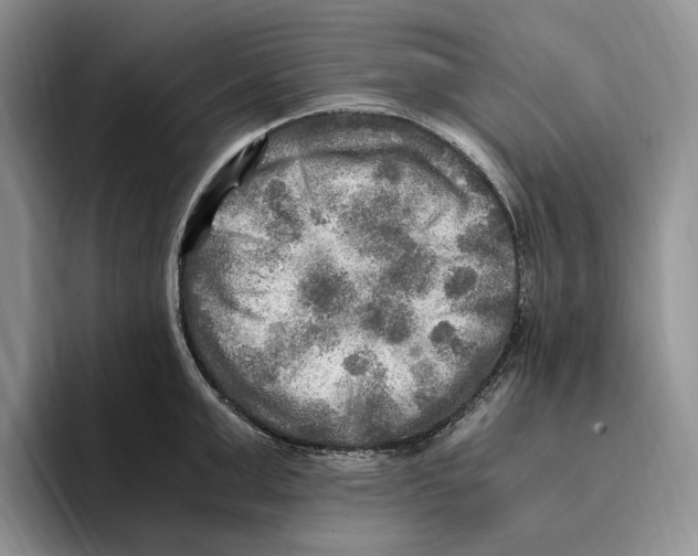 X0000096220999200802151518