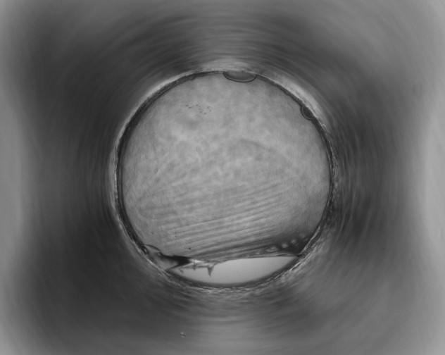 X0000096221000200802151518