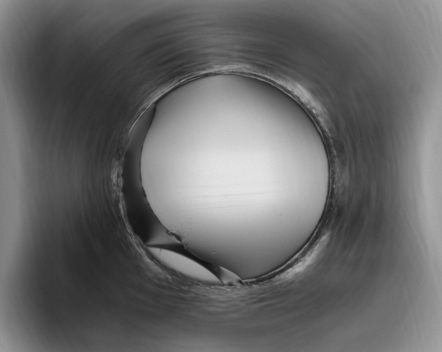 X0000096221001200802151518