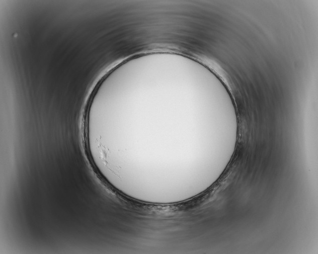 X0000096221003200802151518