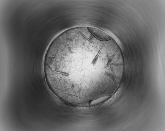 X0000096221004200802151518