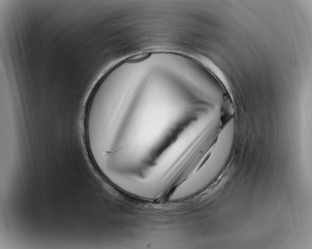 X0000096221005200802151518