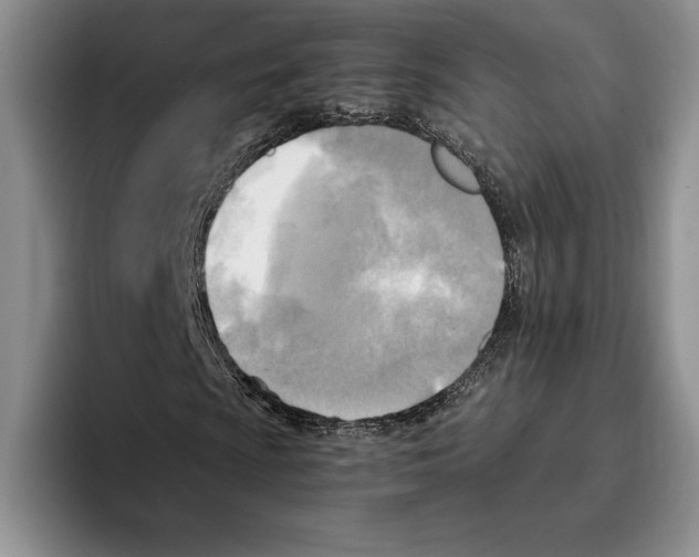 X0000096221009200802151518