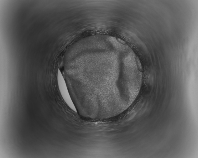 X0000096221010200802151518