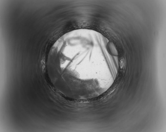 X0000096221011200802151518