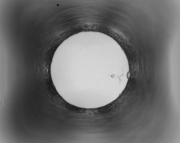 X0000096221013200802151518