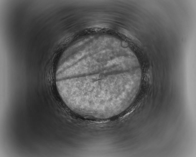 X0000096221014200802151518