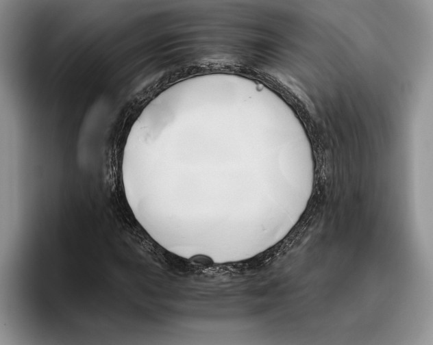 X0000096221015200802151518