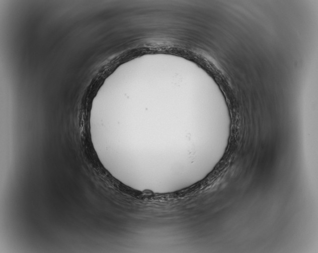 X0000096221016200802151518