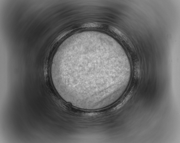 X0000096221017200802151518