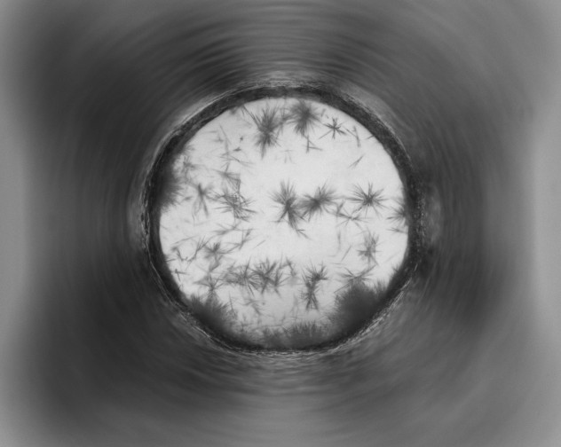 X0000096221018200802151518