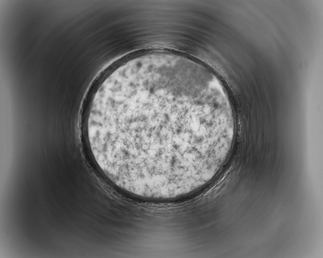 X0000096221020200802151518