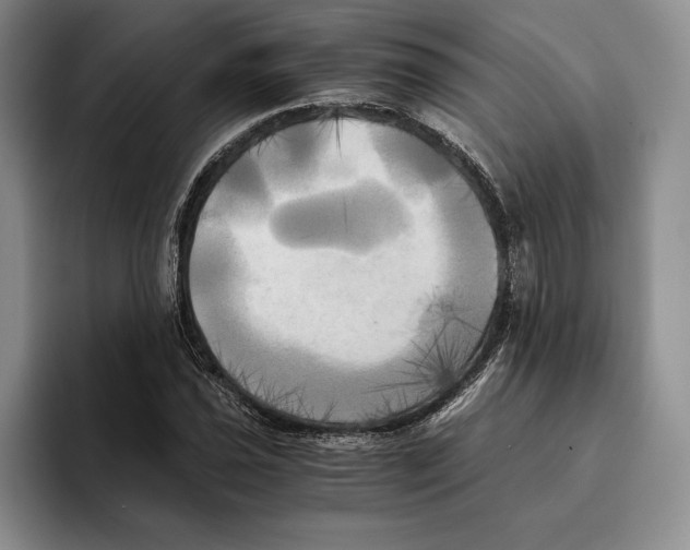 X0000096221021200802151518