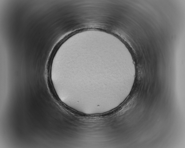 X0000096221024200802151518