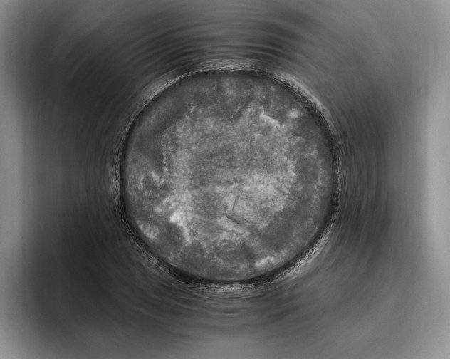 X0000096221025200802151518