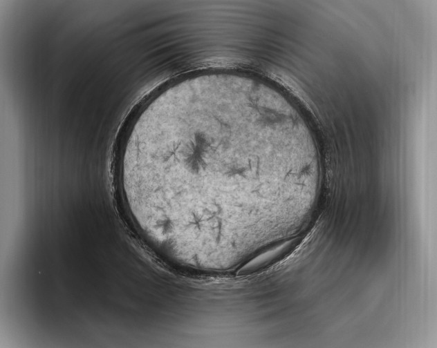 X0000096221026200802151518