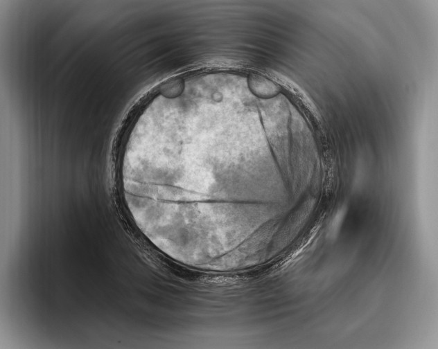 X0000096221027200802151518