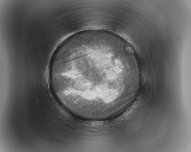 X0000096221030200802151518