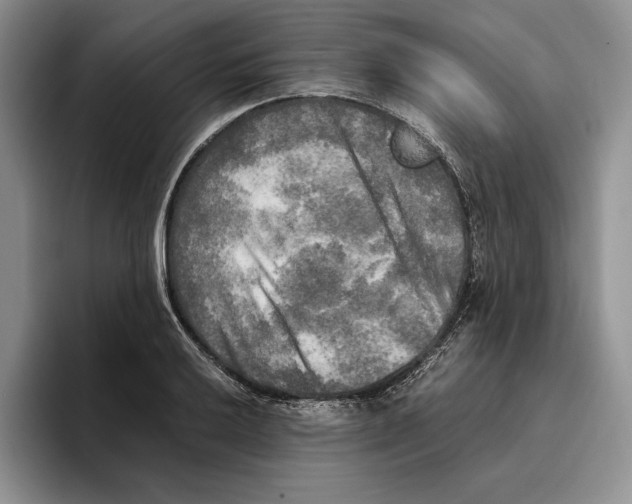 X0000096221032200802151518