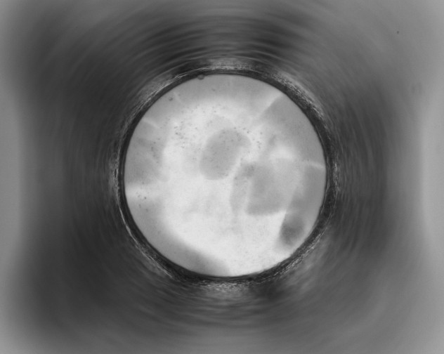 X0000096221033200802151518