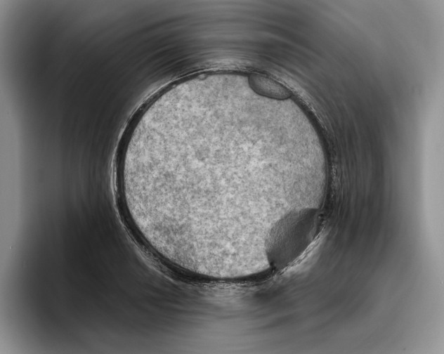 X0000096221034200802151518