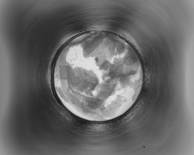 X0000096221035200802151518