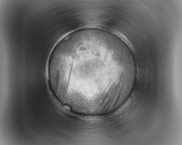 X0000096221036200802151518